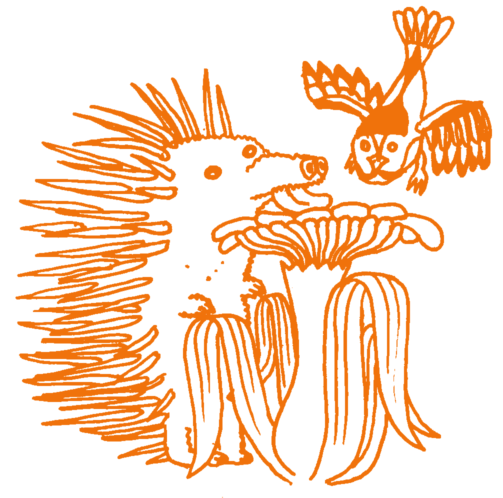 background graphic of hedgehog
